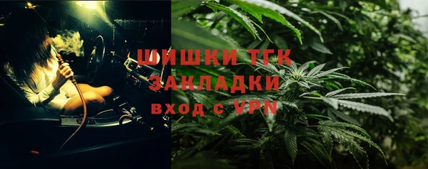 мяу мяу мука Аркадак