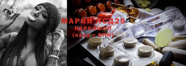 мяу мяу мука Аркадак