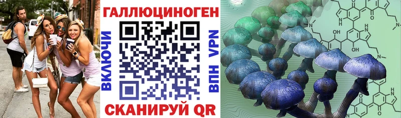 Галлюциногенные грибы GOLDEN TEACHER  закладки  Туймазы 